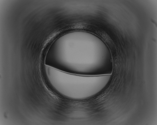 X0000097640728200802290821