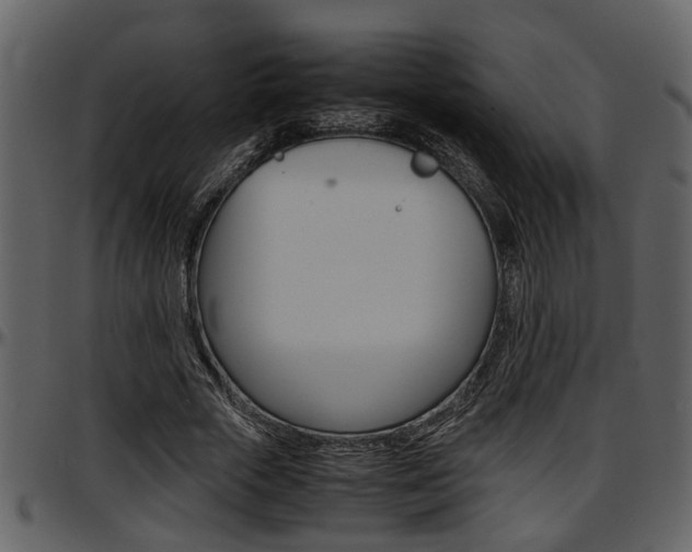 X0000097640729200802290821