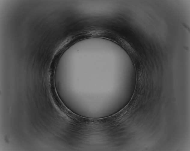 X0000097640730200802290821