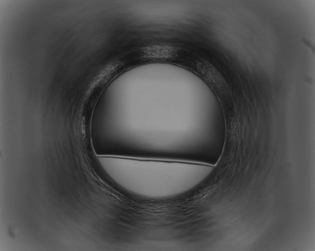 X0000097640731200802290821