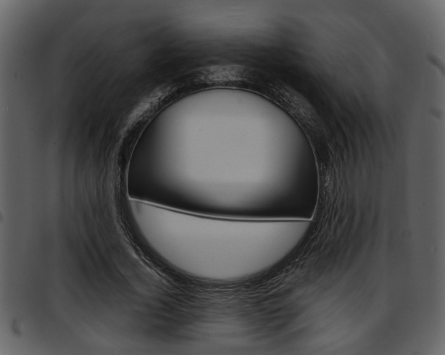X0000097640732200802290821