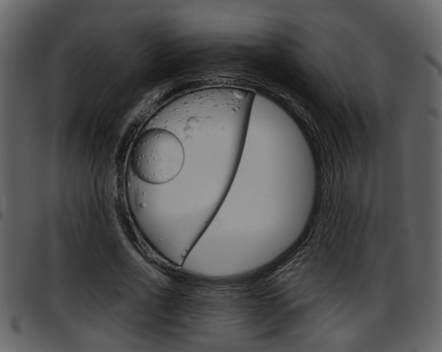 X0000097640734200802290821