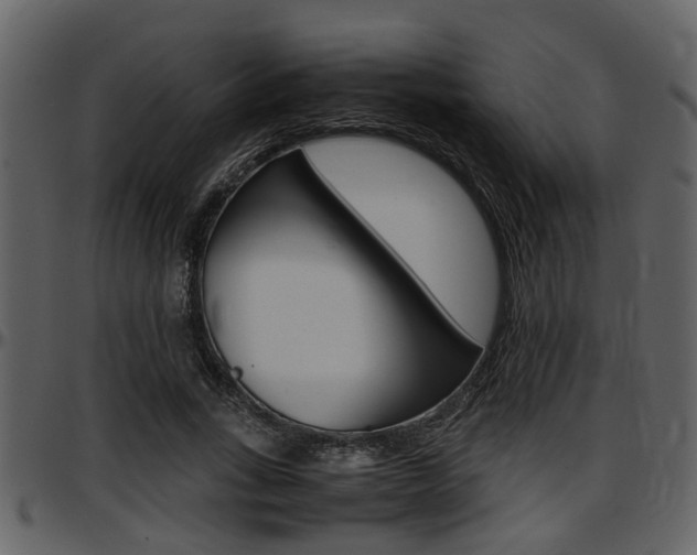 X0000097640735200802290821
