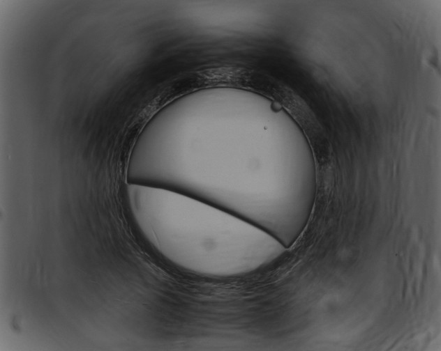 X0000097640737200802290821