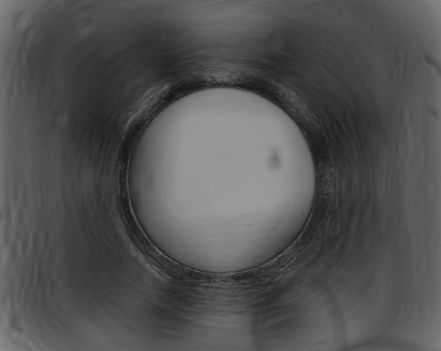 X0000097640738200802290821
