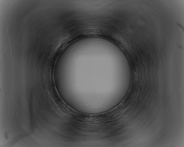 X0000097640739200802290821