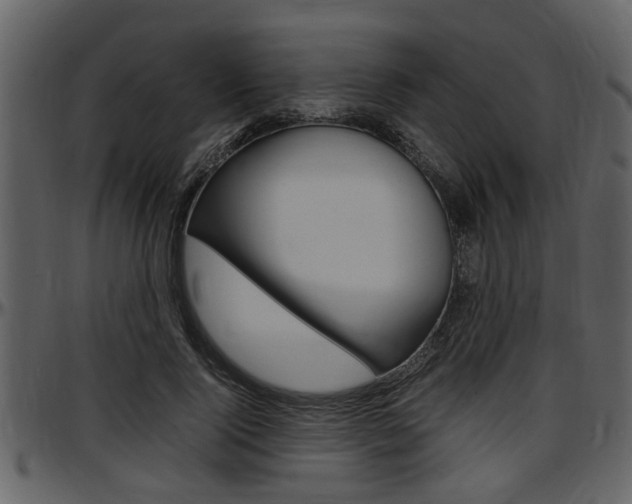 X0000097640740200802290821