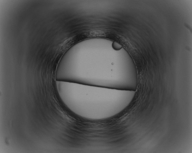 X0000097640741200802290821