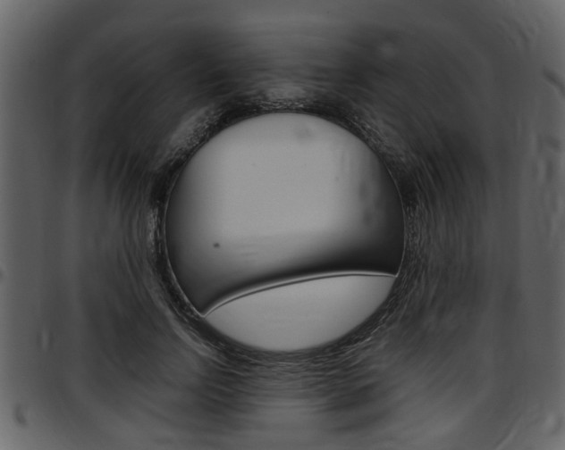 X0000097640742200802290821
