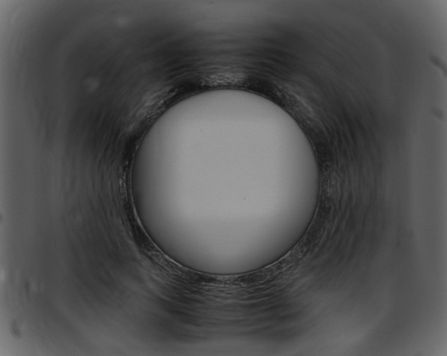 X0000097640743200802290821