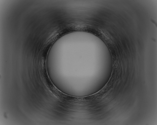 X0000097640744200802290822