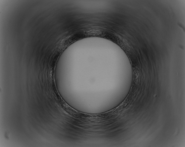 X0000097640745200802290822
