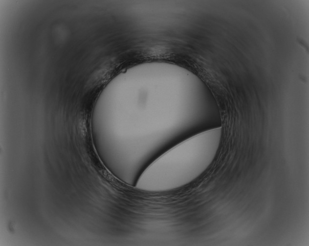 X0000097640746200802290822