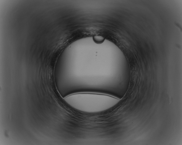 X0000097640747200802290822