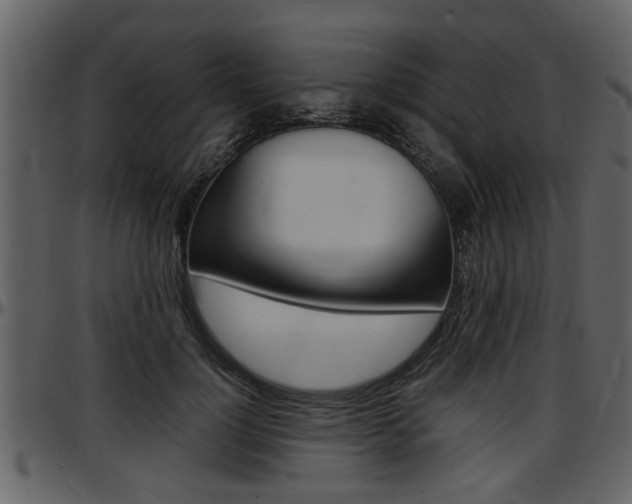 X0000097640748200802290822