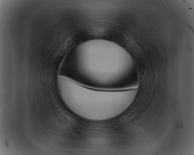 X0000097640750200802290822