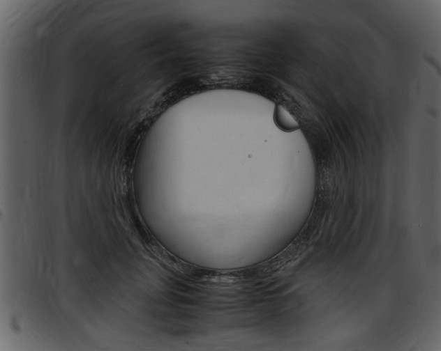 X0000097640751200802290822