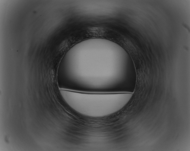 X0000097640752200802290822