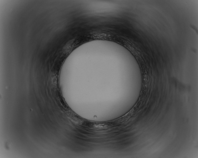 X0000097640753200802290822