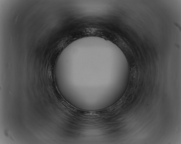 X0000097640754200802290822