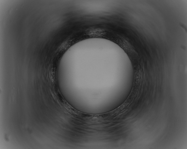 X0000097640755200802290822