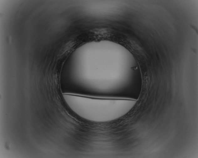 X0000097640756200802290822