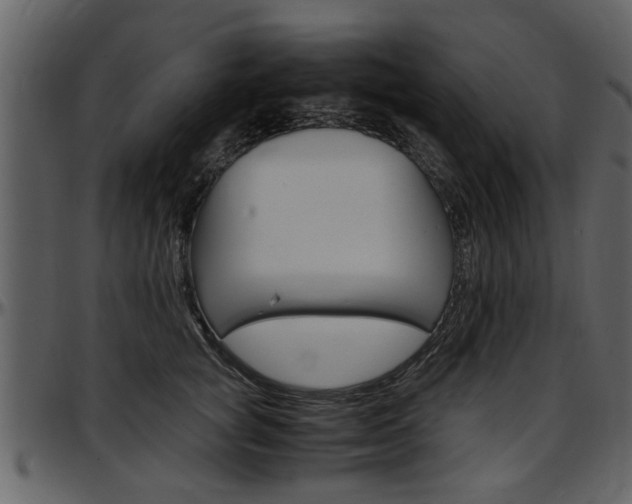 X0000097640757200802290822