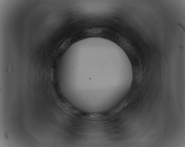 X0000097640758200802290822