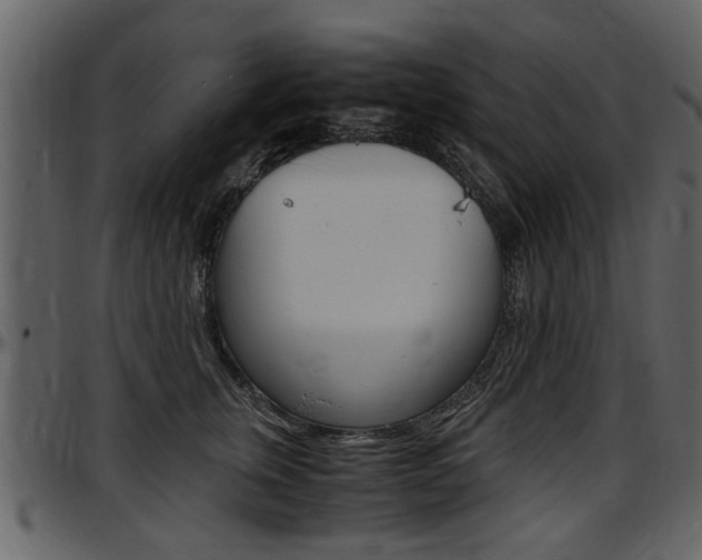 X0000097640759200802290822