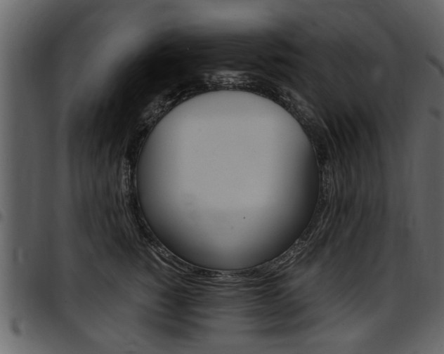 X0000097640760200802290822
