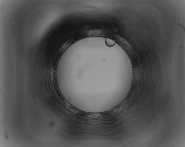 X0000097640761200802290822