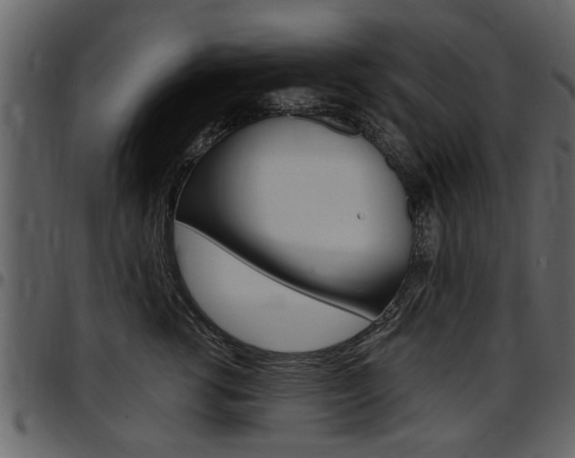 X0000097640762200802290822