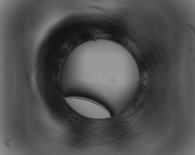 X0000097640763200802290822