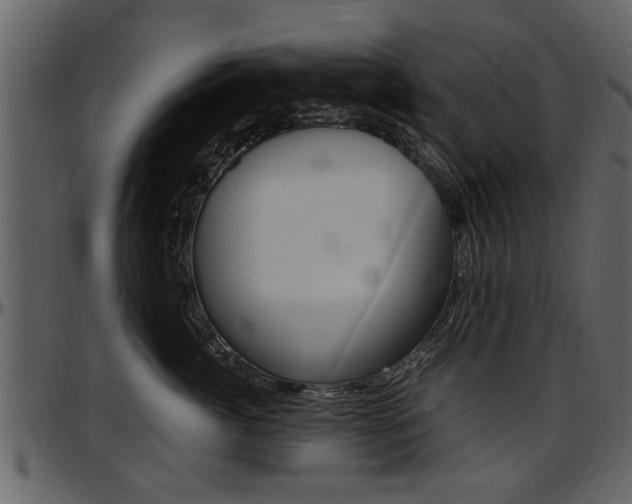 X0000097640764200802290822