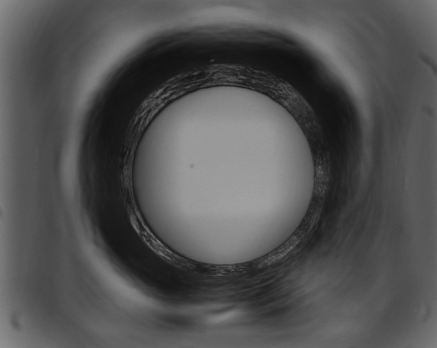 X0000097640765200802290822