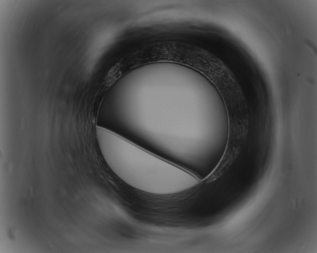 X0000097640766200802290822
