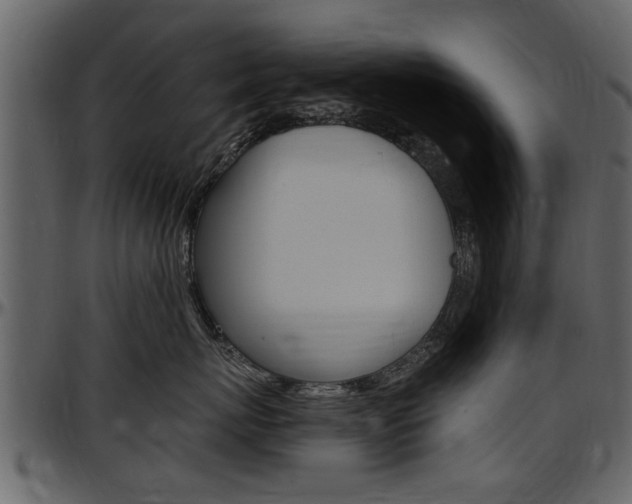X0000097640767200802290822
