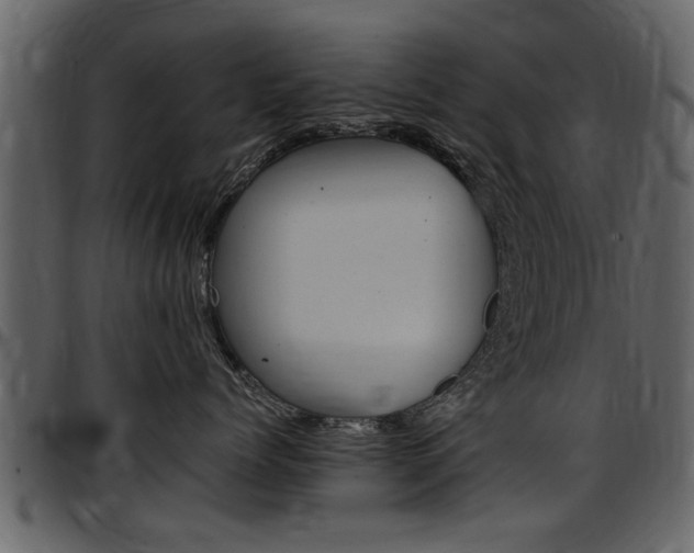X0000097640768200802290822