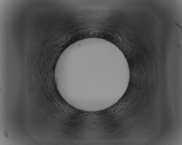 X0000097640769200802290821