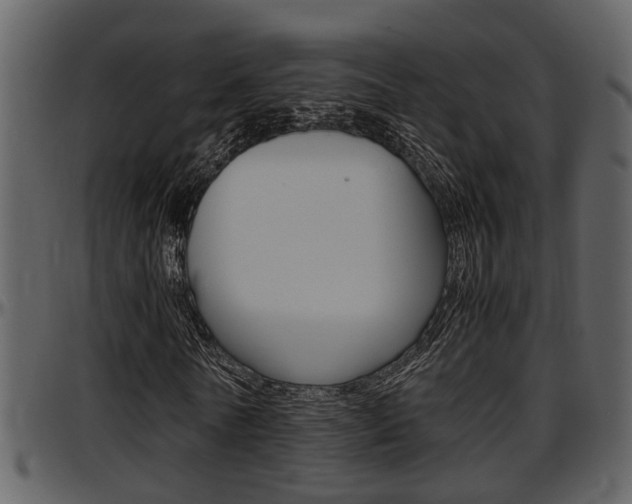 X0000097640770200802290821