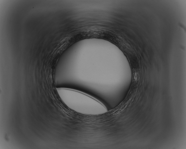 X0000097640771200802290821