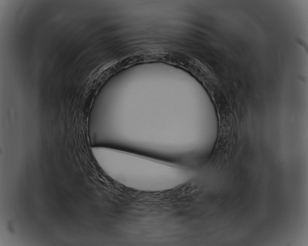 X0000097640773200802290821