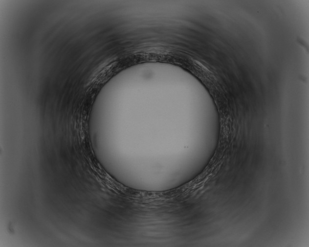 X0000097640774200802290821