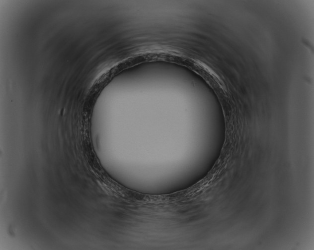 X0000097640775200802290821