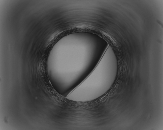 X0000097640776200802290821