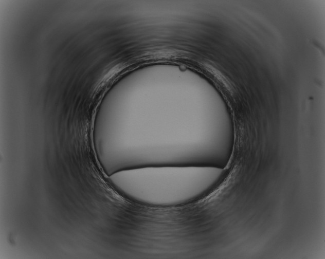 X0000097640778200802290821