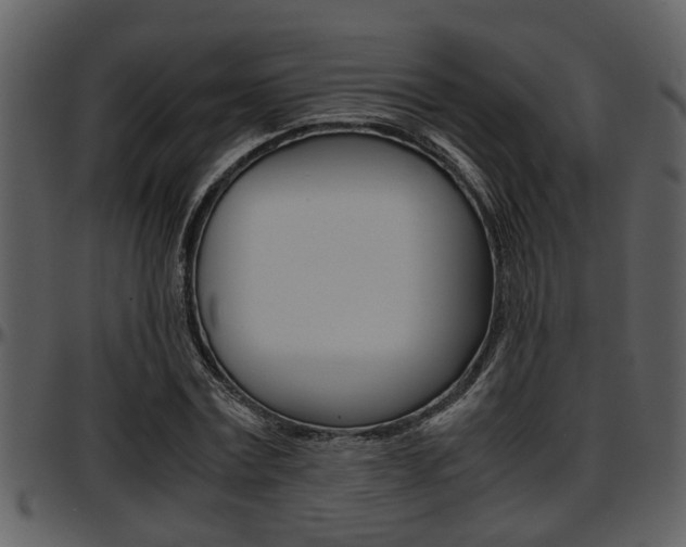 X0000097640779200802290821