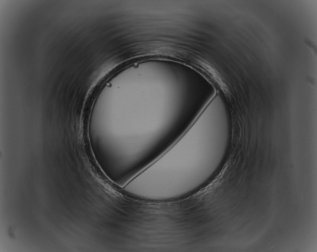 X0000097640780200802290821