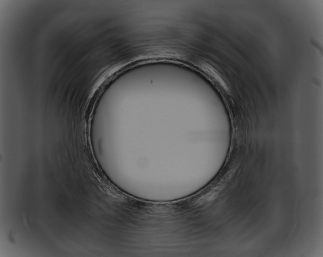 X0000097640781200802290821