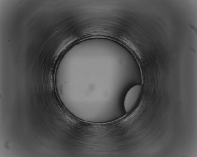 X0000097640782200802290821